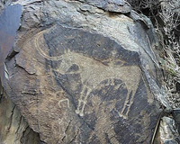 Фрагмент петроглифов в Саймалуу-Таша